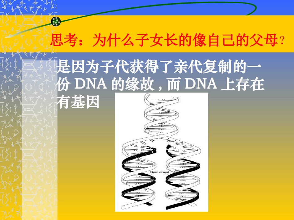 基因的表达（用）_第3页