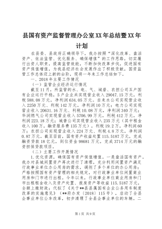 县国有资产监督管理办公室XX年总结暨XX年计划