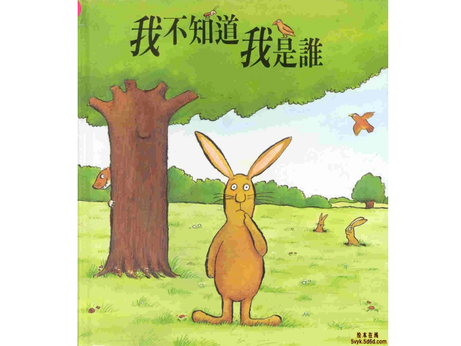 《我不知道我是谁》_第3页