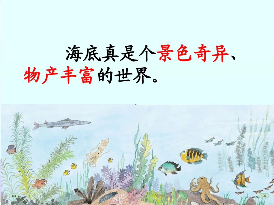 《海底世界》配套课件_第3页