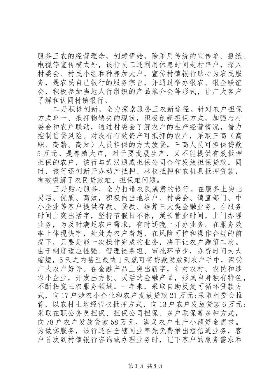 村镇银行年终总结及计划范例_第3页