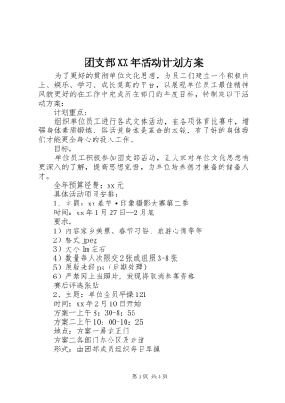 团支部XX年活动计划方案