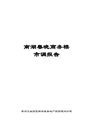 南湖春晓商务楼市调报告