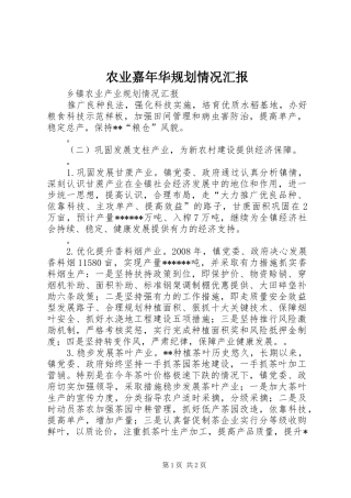 农业嘉年华规划情况汇报