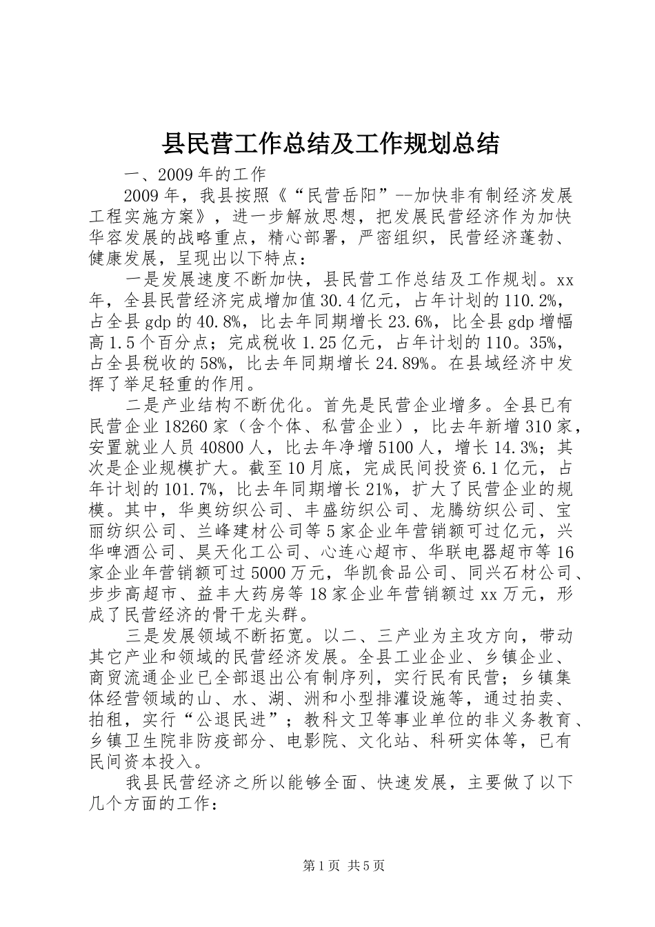 县民营工作总结及工作规划总结_第1页