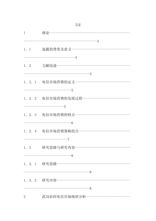 武功电信分公司农村市场营销策略研究(1)