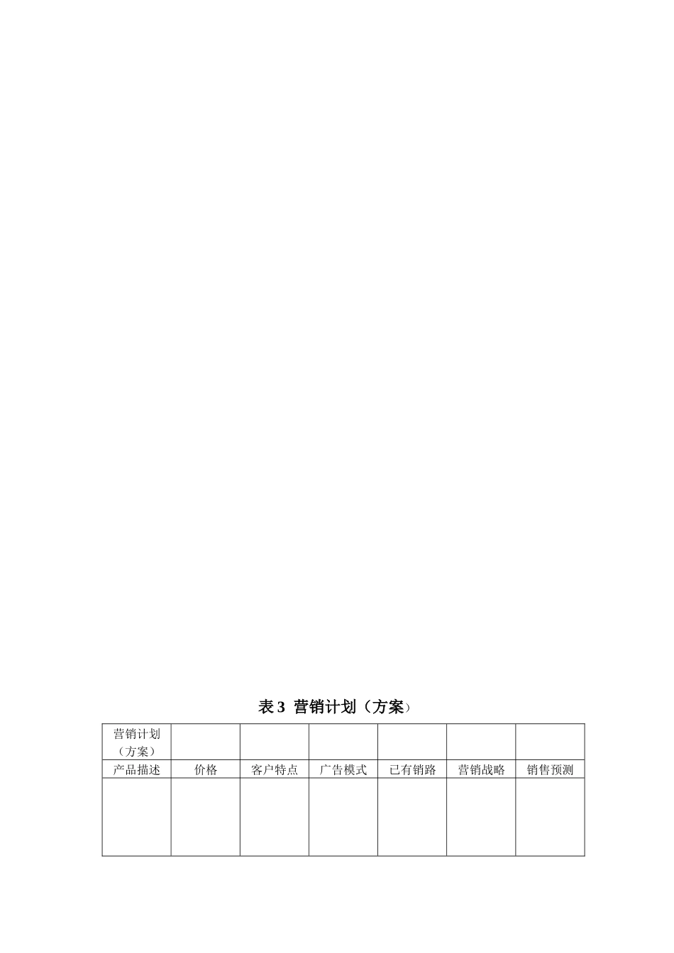 营销推广总体部署表格1-6_第3页