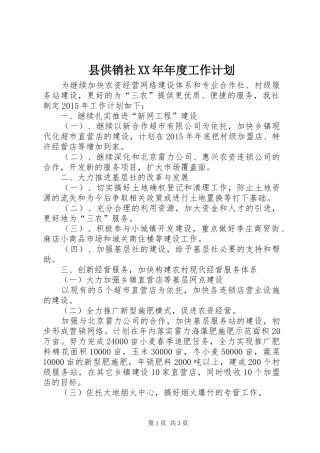 县供销社XX年年度工作计划