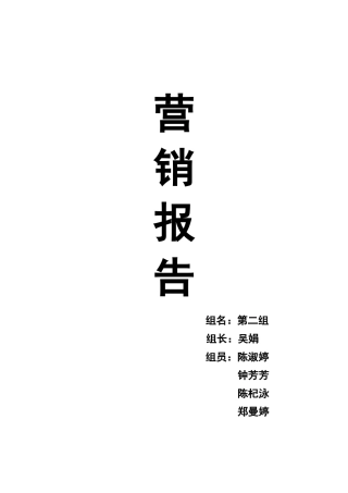 网店营销报告