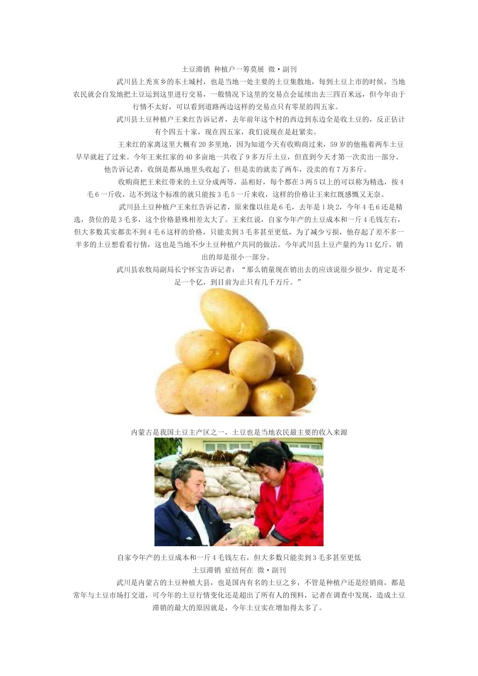 内蒙古马铃薯遭遇销售难_第1页