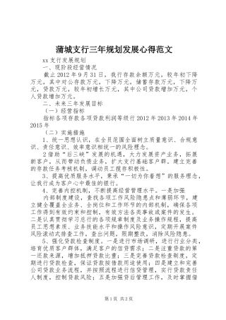 蒲城支行三年规划发展心得范文