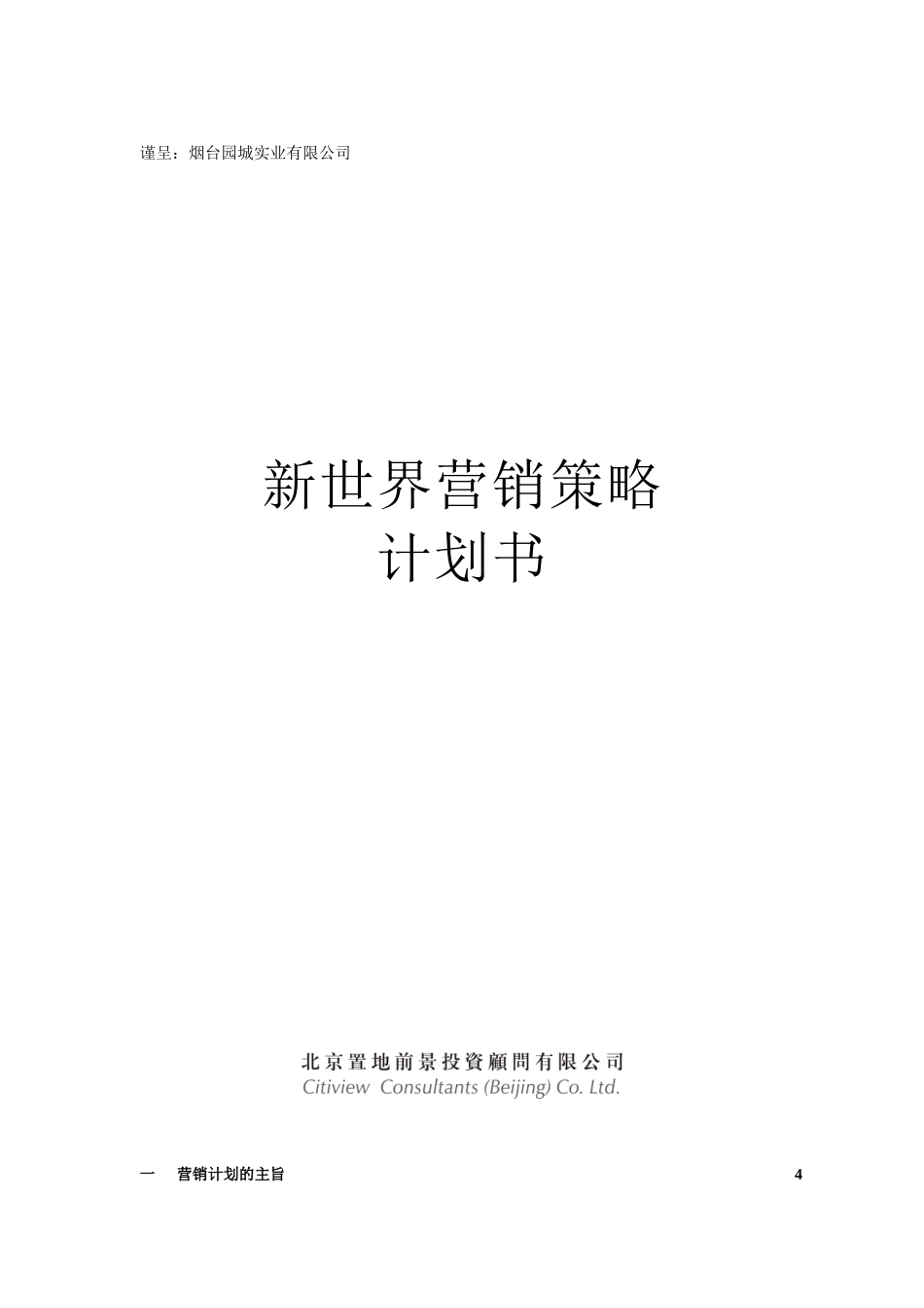 新世界营销策略规划方案分析_第1页