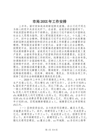 市局20XX年工作安排