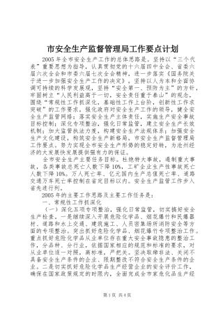市安全生产监督管理局工作要点计划