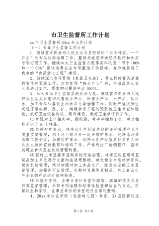 市卫生监督所工作计划