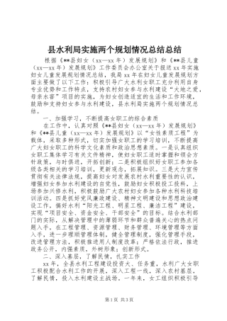 县水利局实施两个规划情况总结总结