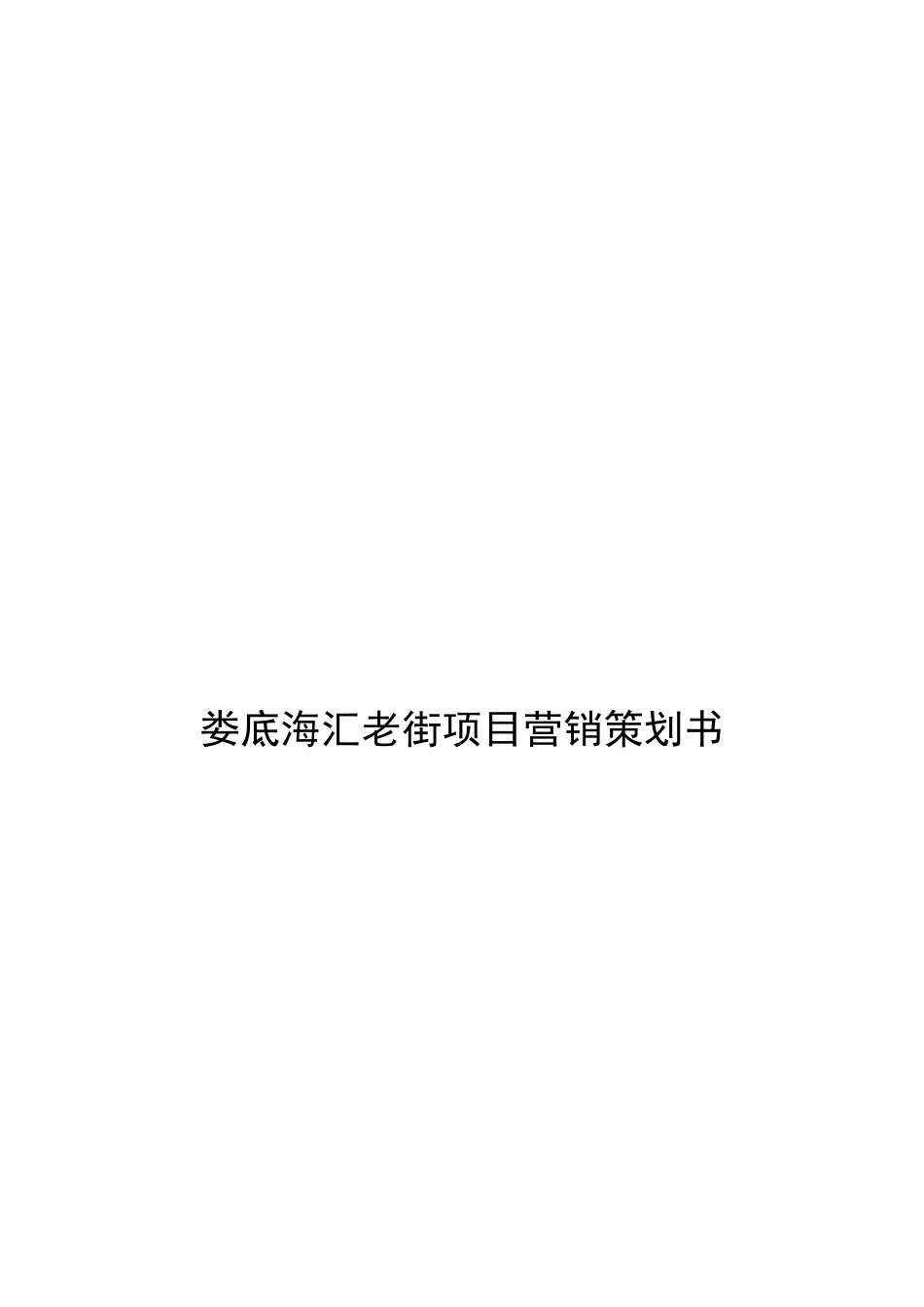 娄底老街项目营销策划书_第1页