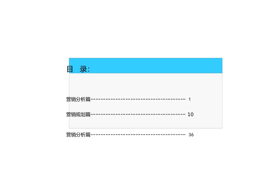 赛格车圣整合营销传播策划案_分析部分_第2页