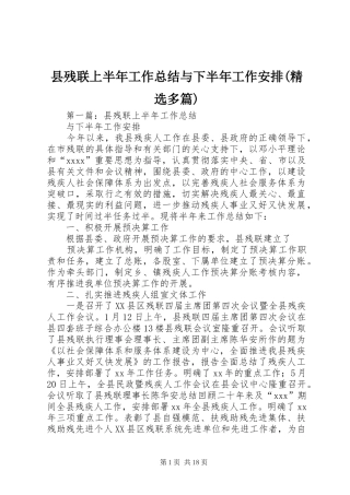 县残联上半年工作总结与下半年工作安排(精选多篇)