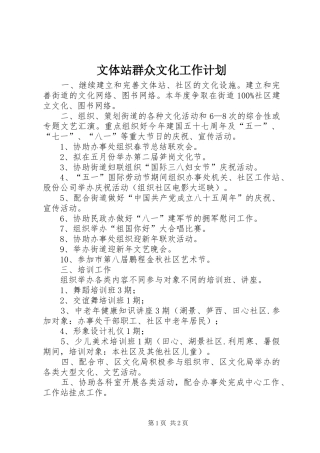 文体站群众文化工作计划