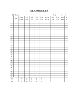 销售员实绩综合报告表