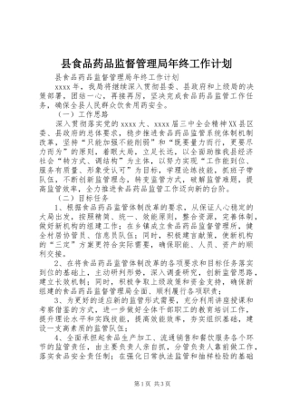 县食品药品监督管理局年终工作计划