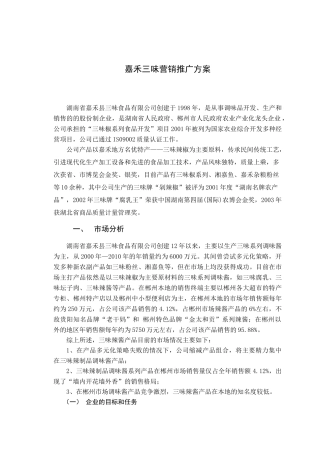 嘉禾三味营销方案
