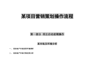 某项目营销策划操作流程