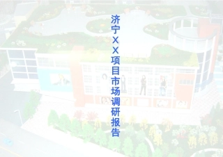 济宁xx项目市场调研报告105371784