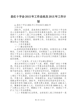 县红十字会201X年工作总结及201X年工作计划