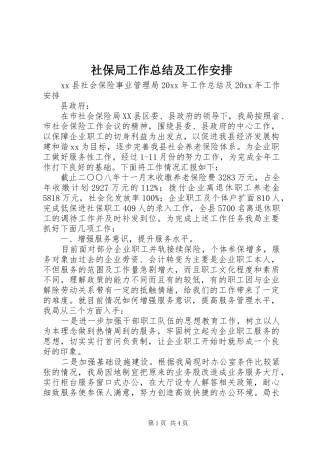 社保局工作总结及工作安排