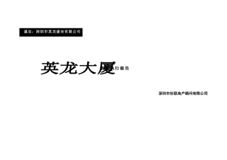 英龙大厦销售执行报告（107)