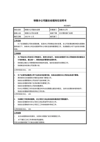 销售分公司副总经理岗位说明书