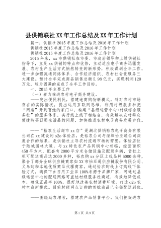 县供销联社XX年工作总结及XX年工作计划