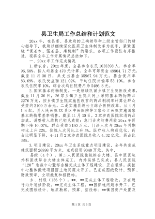 县卫生局工作总结和计划范文
