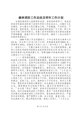 森林消防工作总结及明年工作计划