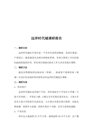 远洋时代城调研报告样本