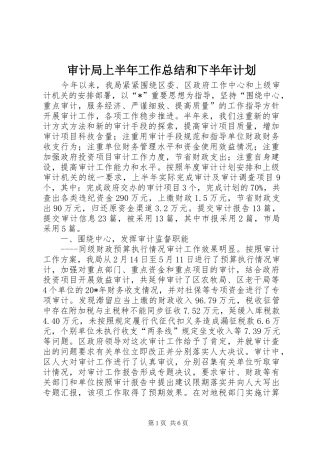 审计局上半年工作总结和下半年计划