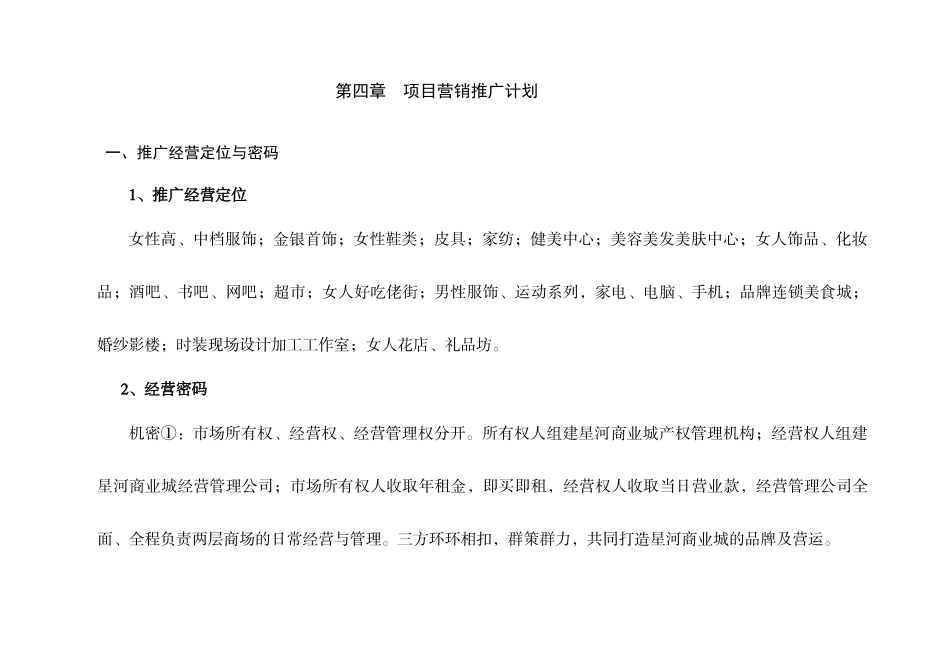 星河商业城-项目营销企划方案(下)_第1页