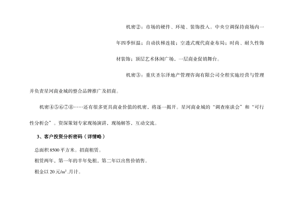 星河商业城-项目营销企划方案(下)_第2页