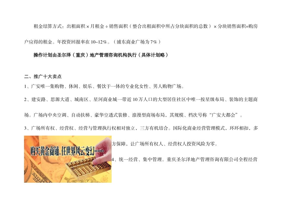 星河商业城-项目营销企划方案(下)_第3页