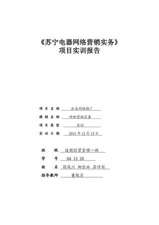苏宁电器网络营销实务