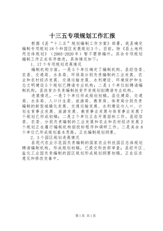 十三五专项规划工作汇报