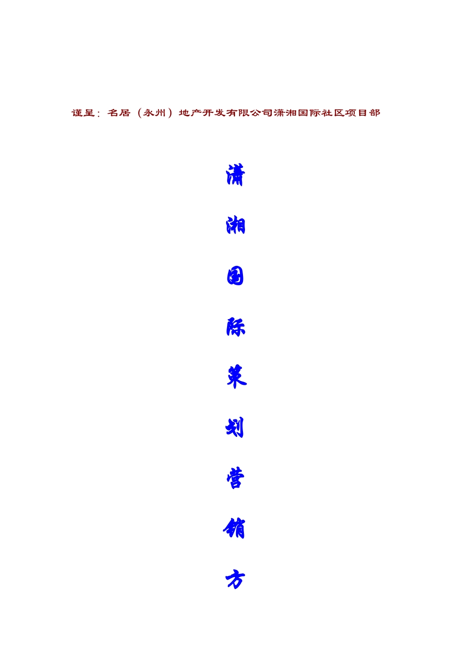 潇湘国际营销方案_第1页