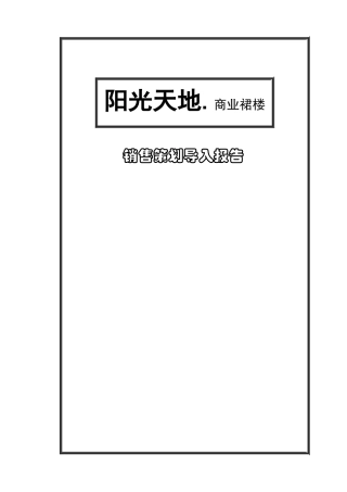 销售策划导入报告