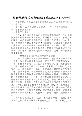 县食品药品监督管理局工作总结及工作计划