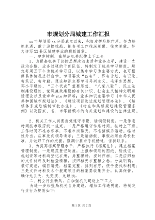 市规划分局城建工作汇报