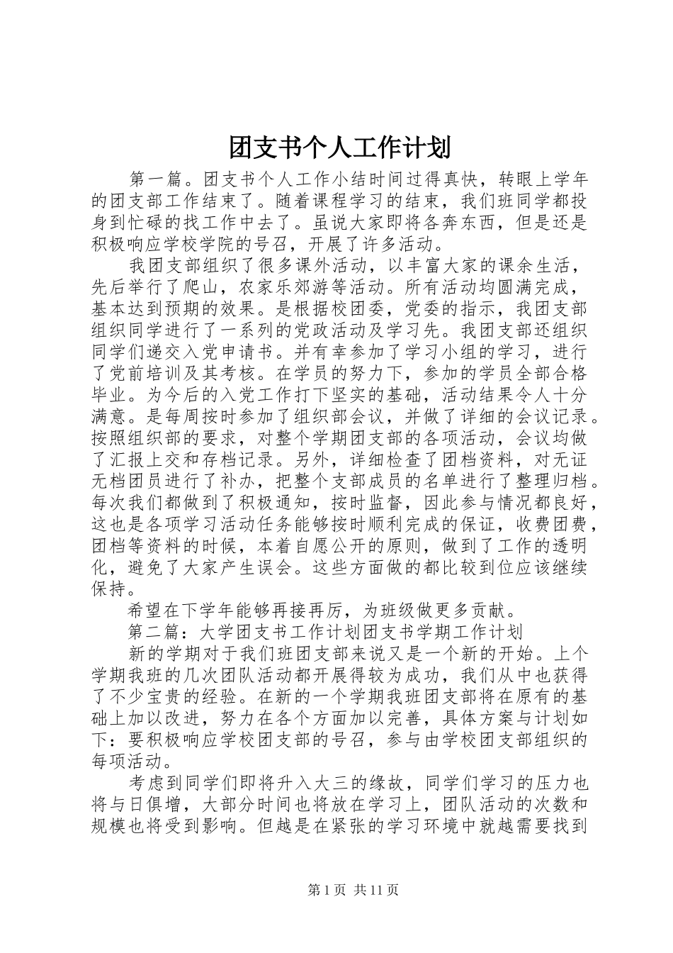 团支书个人工作计划_第1页