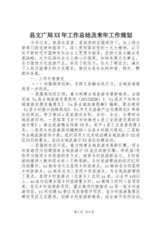 县文广局XX年工作总结及来年工作规划