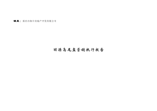 重庆丽源岛尾盘营销执行报告